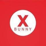 Bunny X