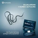 Bio Paradise ...