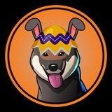 Easter Shikoku Inu $ESHIK