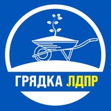 Грядка ЛДПР