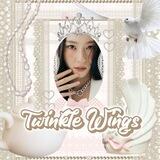 Twinkle Wings. Open