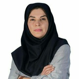 زمین رجایی تاملند