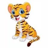 BNBTiger official Announcements