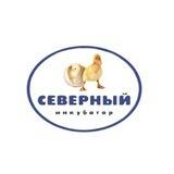 Живая Птица и Комбикорма