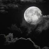 °``Night conversations``°