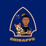 SHIBAPPE 🇫🇷