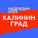 Штаб Надеждина | Калининград