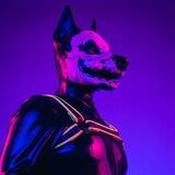 Rubber Skull Dog