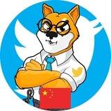 Shib Ceo Chinese