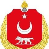 Первый турецкий