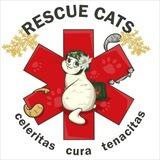 RESCUE CATS