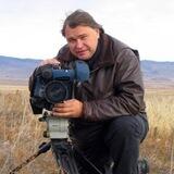 Аркадий Мамонтов