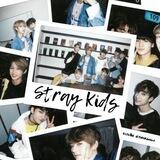 Straykids Gallery | стрэйкидс | стрейкидс
