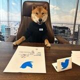Floki CEO