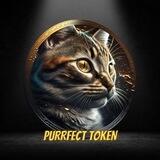 Purrfect Token🐈