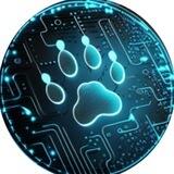 🐾 X PAW | Synthetic Markets