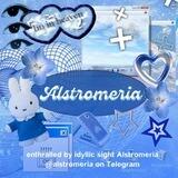 𖦞. alstromeria; OPEN!