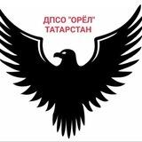 ДПСО ОРЁЛ Татарстан Отделение Национального Центра помощи детям по Республике Татарстан