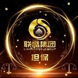 联盛担保（交流大群）