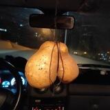 Potato Elahe Music