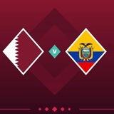 Qatar v Ecuador