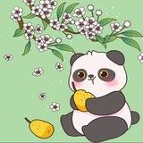 三国演义熊猫版本网银转账生成器