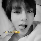 감정의 묘지