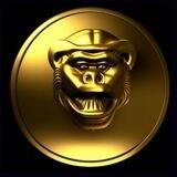 Monkeys Gold