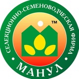 🌱Агрофирма Манул - Авторские семена овощных культур