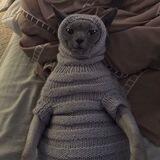 Onlycats