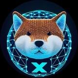 ShibariumX