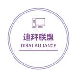 【迪拜联盟】发卡网3|话费充值|全球接码|代付代充|诚信卡商|