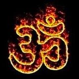 🔥 ЯГЬЯ В ИНДИИ 🇮🇳