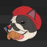 BDOGE official