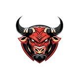BULL RUN
