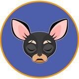 Black HuaHua | Protal