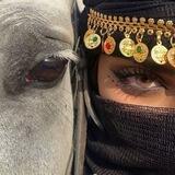 قصائد