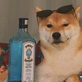 木讷Q拉主盘