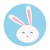 Bunny Coin Entry