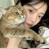 忆风手机口