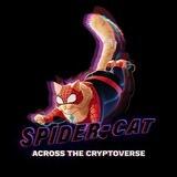 Spidercat portal