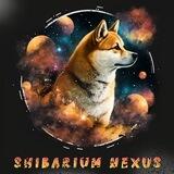 Shibarium Nexus Gate