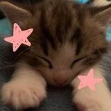 cutiest