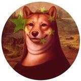 LISA DOGE INU CHINESE COMMUNITY 🇨🇳🇨🇳🇨🇳
