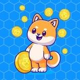 DOGDOG COIN | BSC