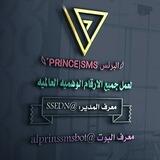 القناه الرسميه بوت البرنس