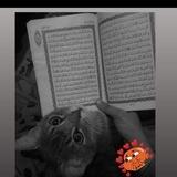 لاتيأس من روح الله