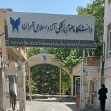 کانال اطلاع رسانی دانشجویی فرهنگی دانشگاه علوم‌پزشکی آزاد اسلامی تهران
