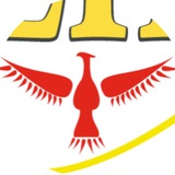 АНО СОШ «Феникс»