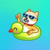 🔥ql信誉